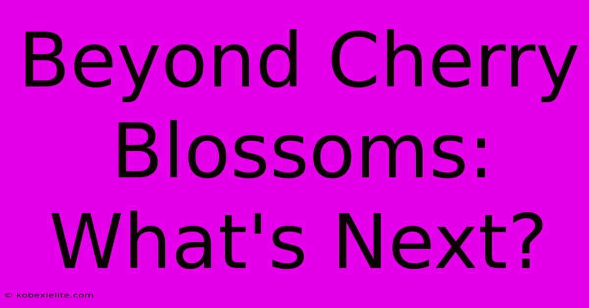 Beyond Cherry Blossoms: What's Next?