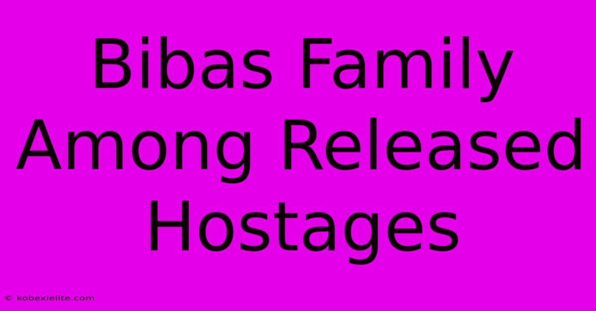 Bibas Family Among Released Hostages