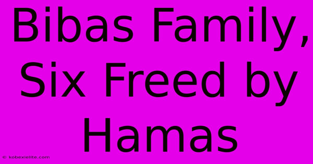 Bibas Family, Six Freed By Hamas