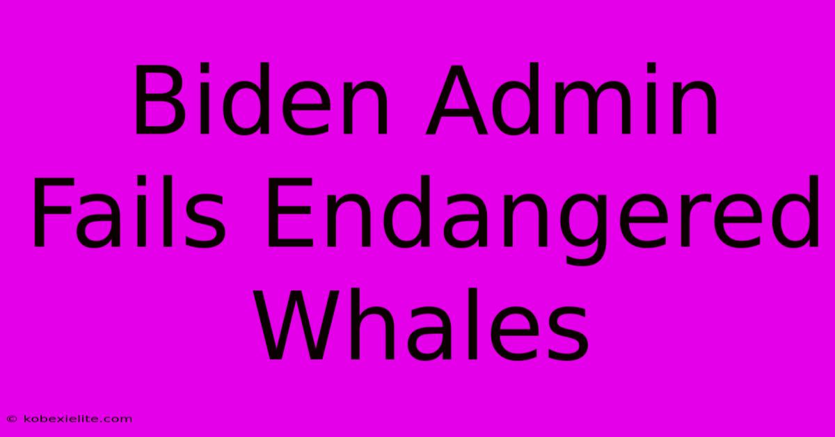 Biden Admin Fails Endangered Whales