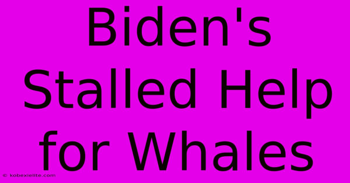 Biden's Stalled Help For Whales