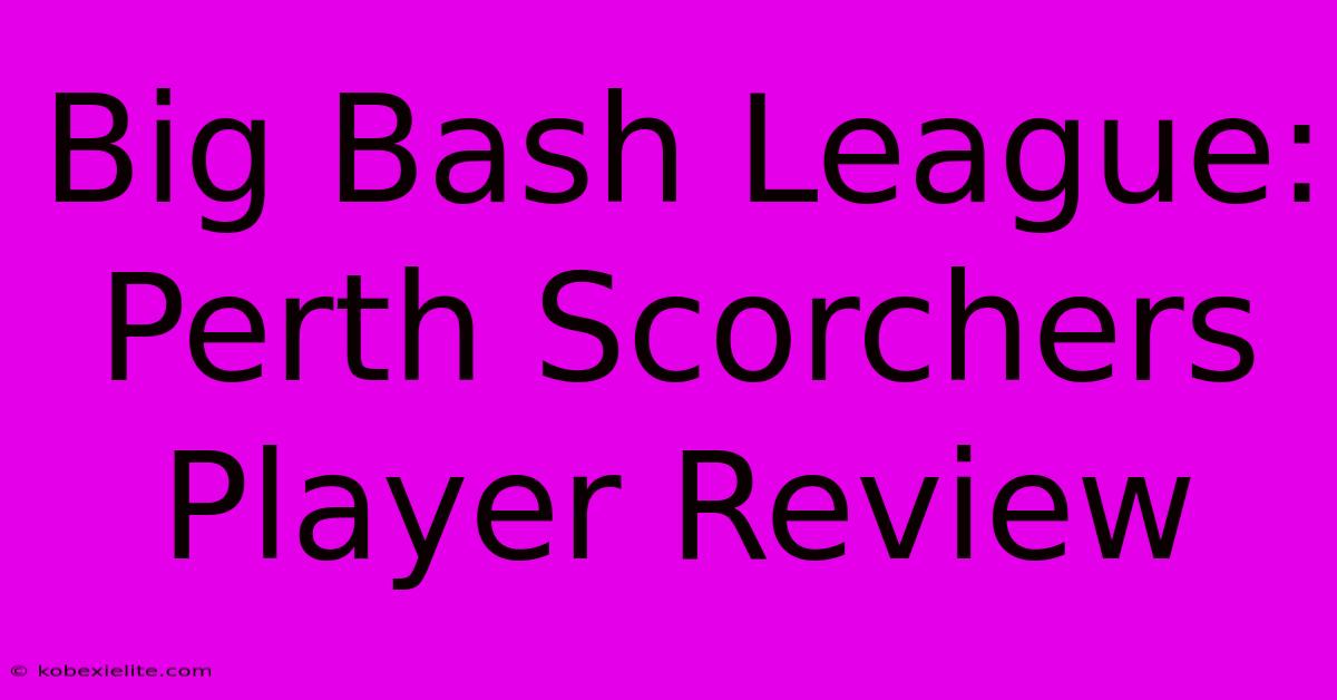 Big Bash League: Perth Scorchers Player Review