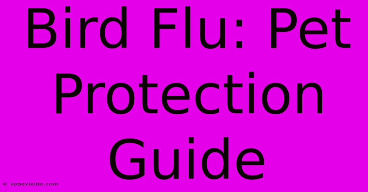 Bird Flu: Pet Protection Guide