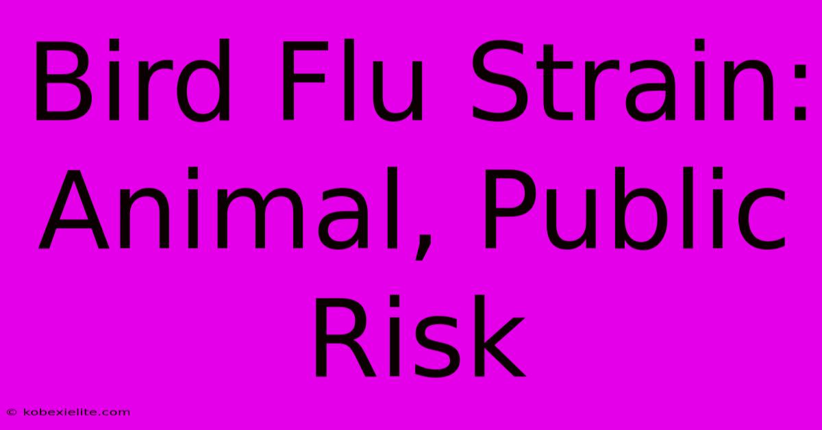 Bird Flu Strain: Animal, Public Risk