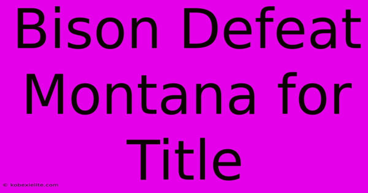 Bison Defeat Montana For Title