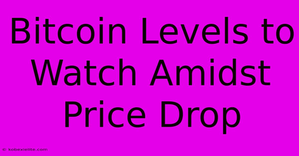 Bitcoin Levels To Watch Amidst Price Drop