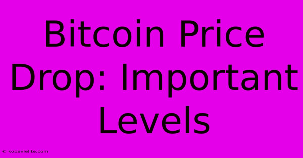 Bitcoin Price Drop: Important Levels