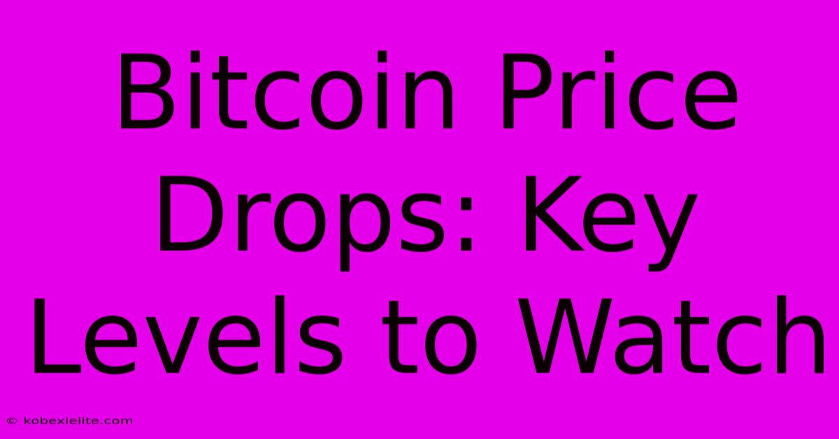 Bitcoin Price Drops: Key Levels To Watch