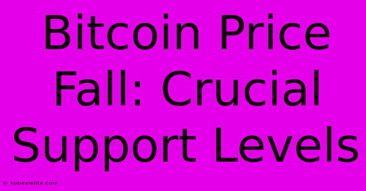 Bitcoin Price Fall: Crucial Support Levels