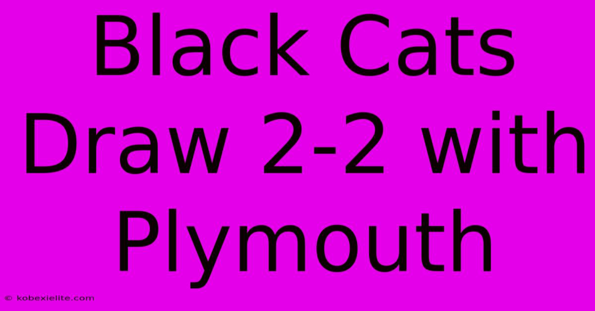 Black Cats Draw 2-2 With Plymouth