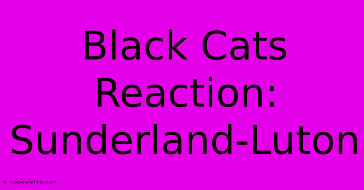 Black Cats Reaction: Sunderland-Luton