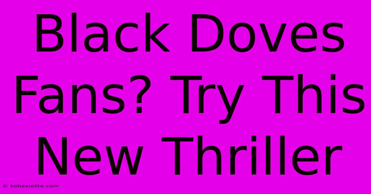 Black Doves Fans? Try This New Thriller