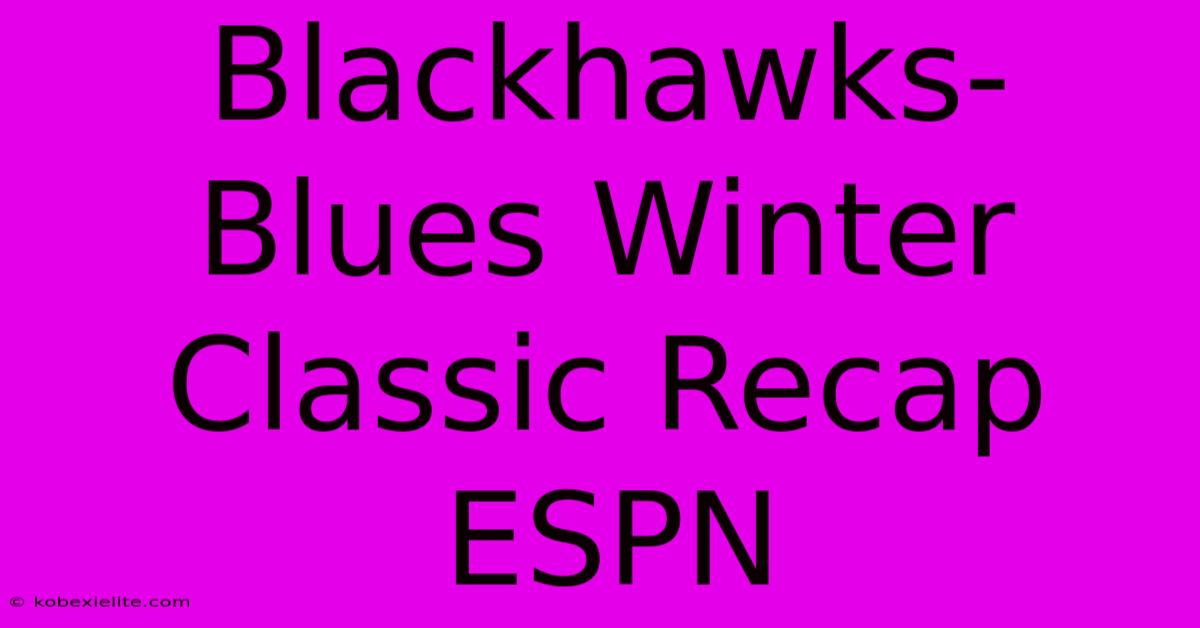 Blackhawks-Blues Winter Classic Recap ESPN