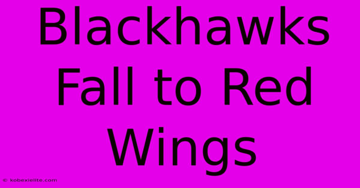 Blackhawks Fall To Red Wings