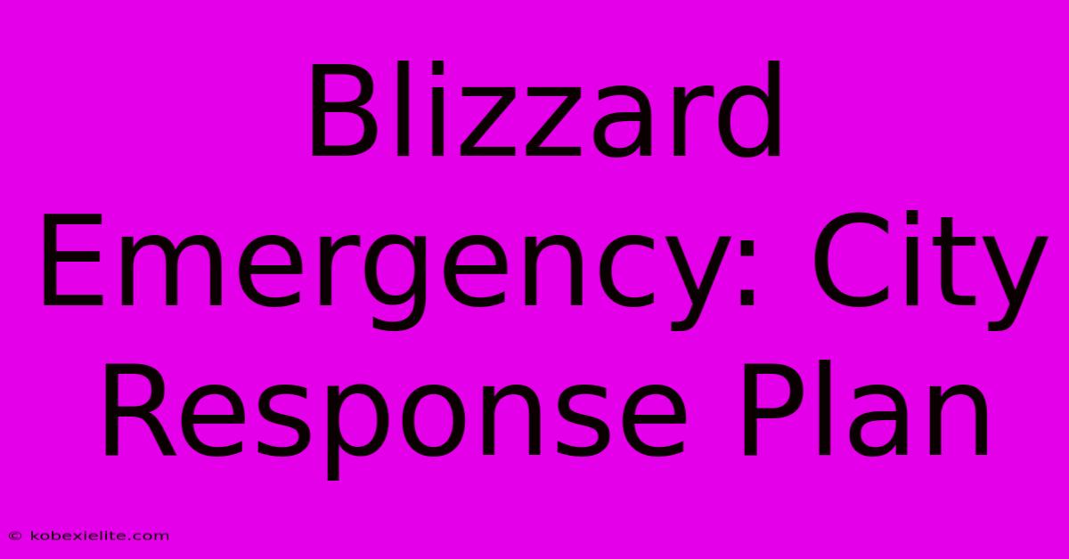 Blizzard Emergency: City Response Plan