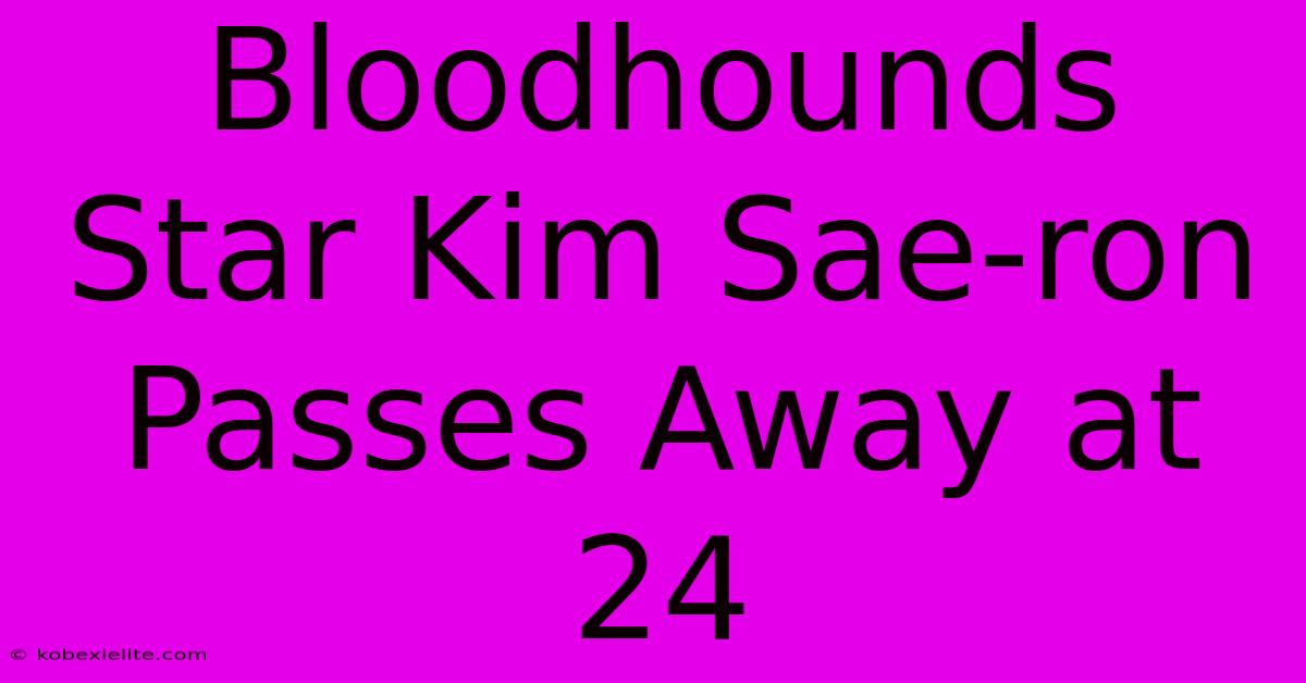 Bloodhounds Star Kim Sae-ron Passes Away At 24