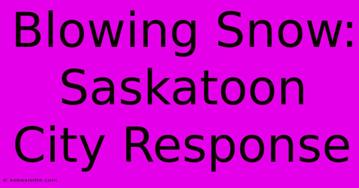 Blowing Snow: Saskatoon City Response