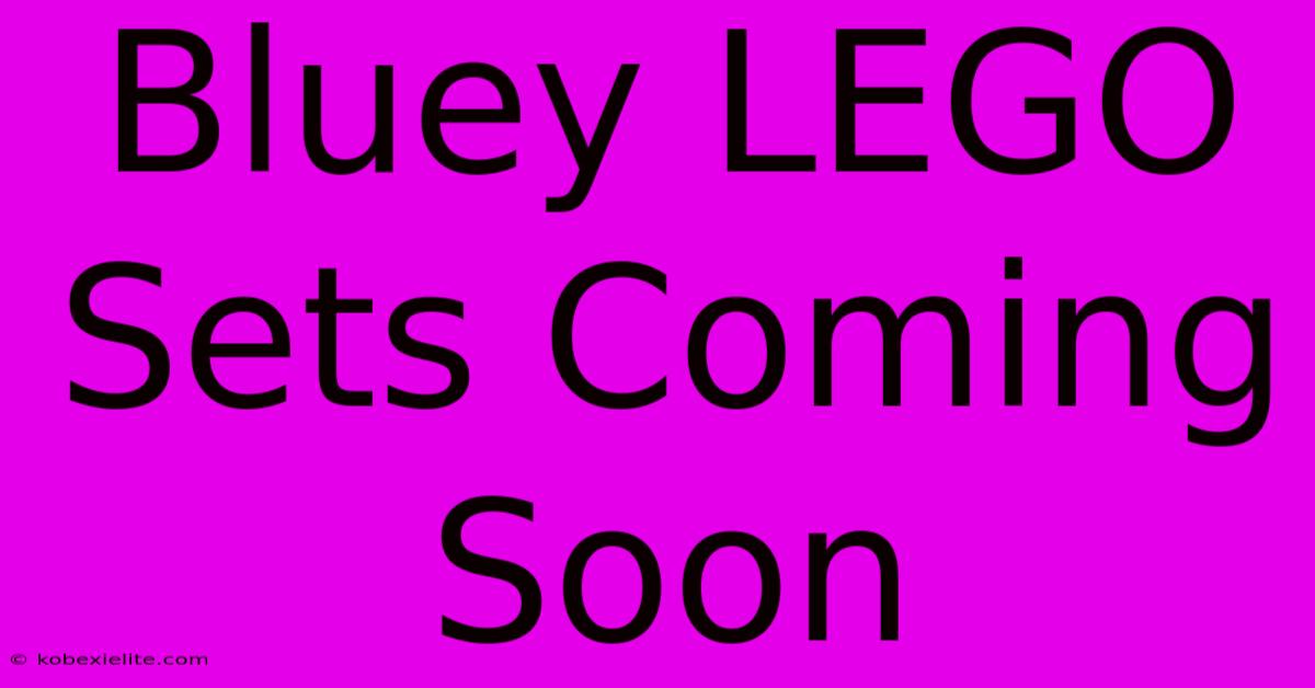 Bluey LEGO Sets Coming Soon