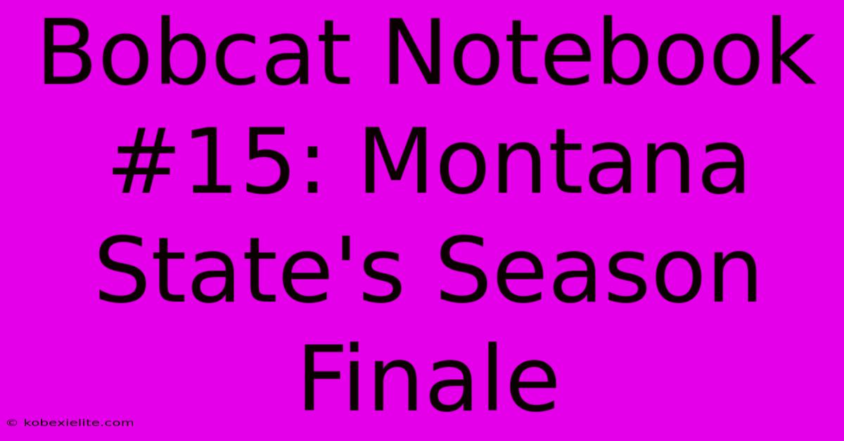 Bobcat Notebook #15: Montana State's Season Finale