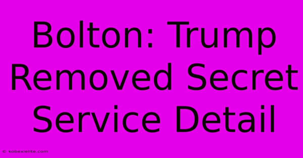 Bolton: Trump Removed Secret Service Detail