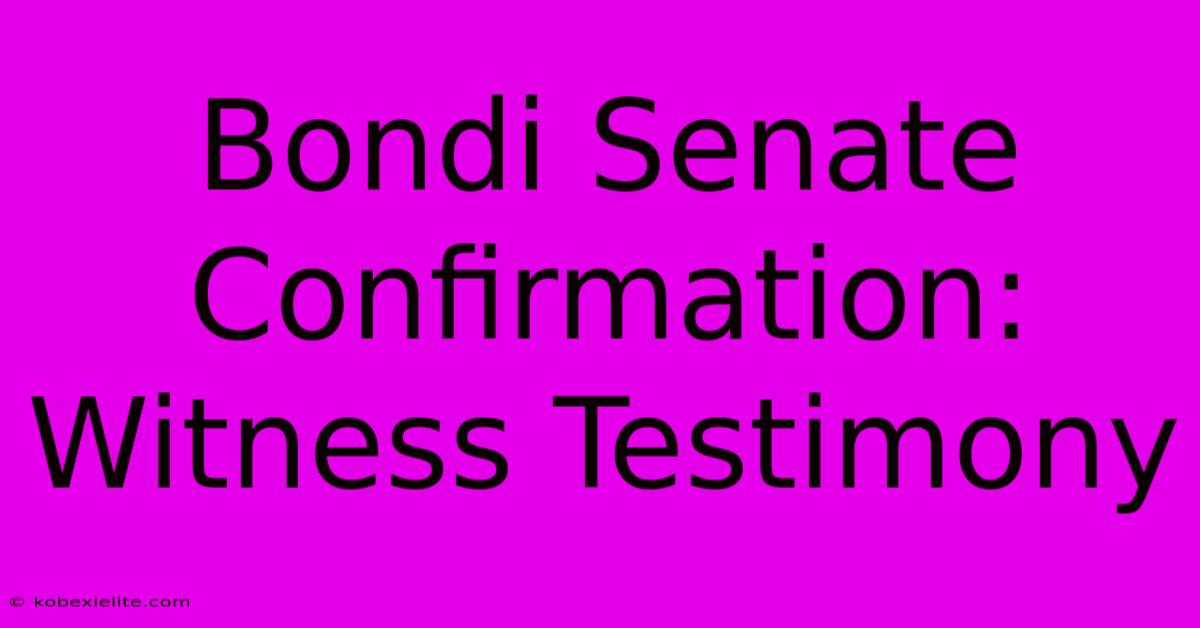 Bondi Senate Confirmation: Witness Testimony