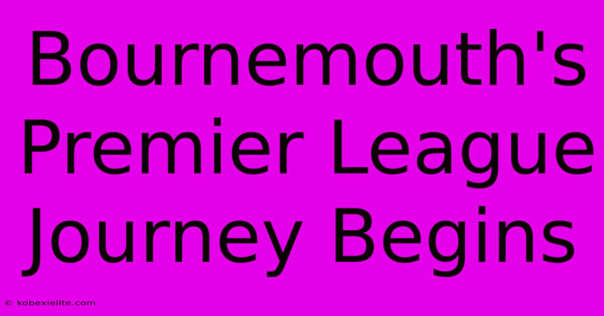 Bournemouth's Premier League Journey Begins