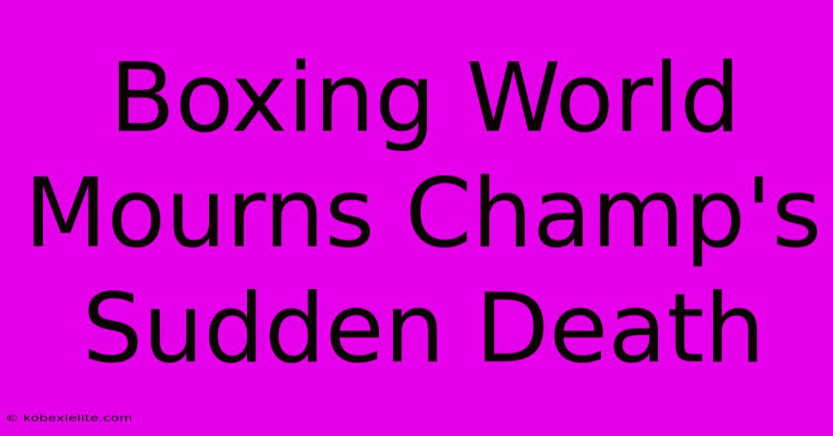 Boxing World Mourns Champ's Sudden Death