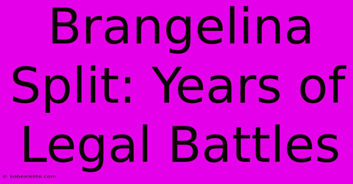 Brangelina Split: Years Of Legal Battles