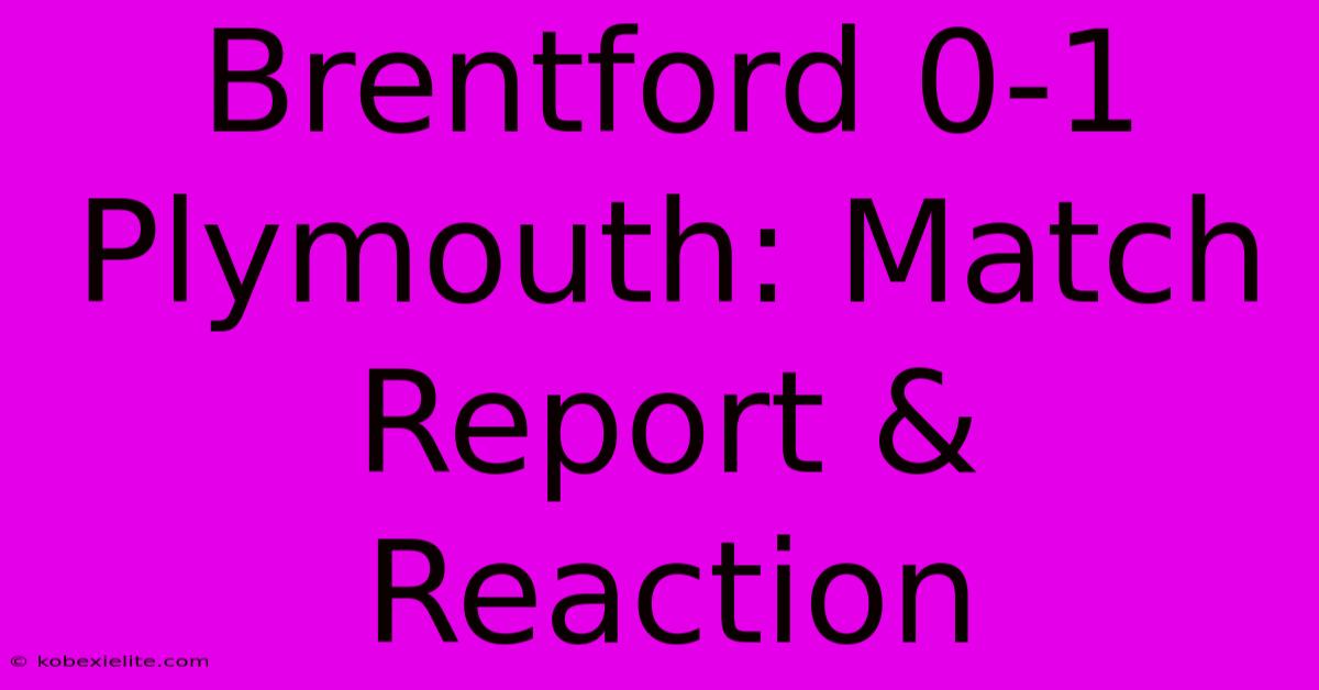 Brentford 0-1 Plymouth: Match Report & Reaction