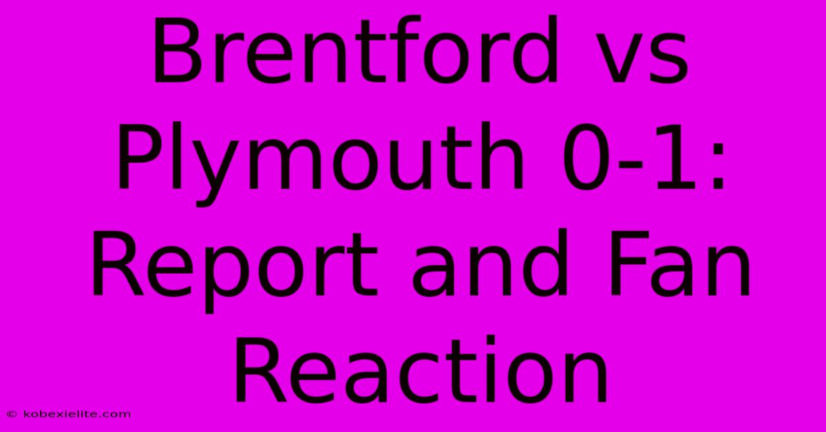 Brentford Vs Plymouth 0-1: Report And Fan Reaction