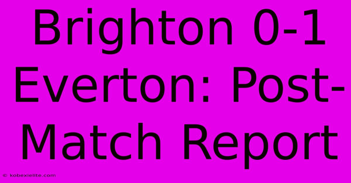 Brighton 0-1 Everton: Post-Match Report