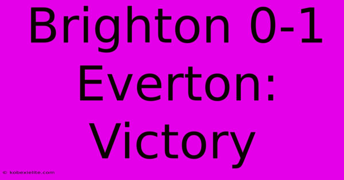 Brighton 0-1 Everton: Victory