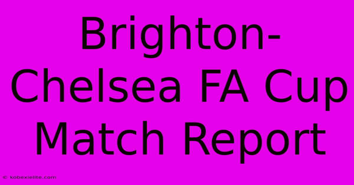 Brighton-Chelsea FA Cup Match Report