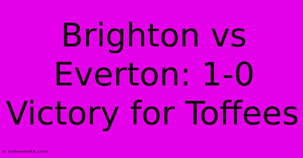 Brighton Vs Everton: 1-0 Victory For Toffees