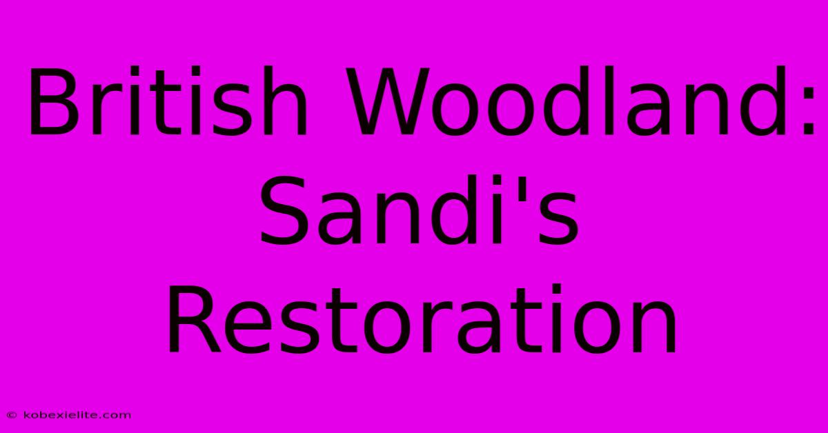 British Woodland: Sandi's Restoration