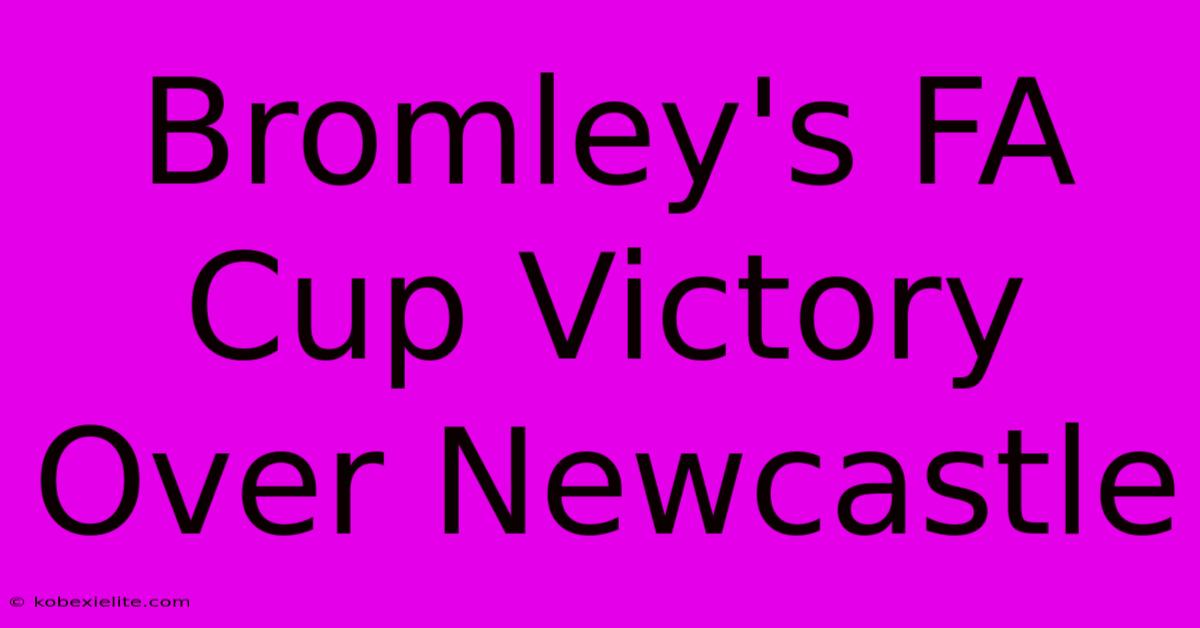 Bromley's FA Cup Victory Over Newcastle