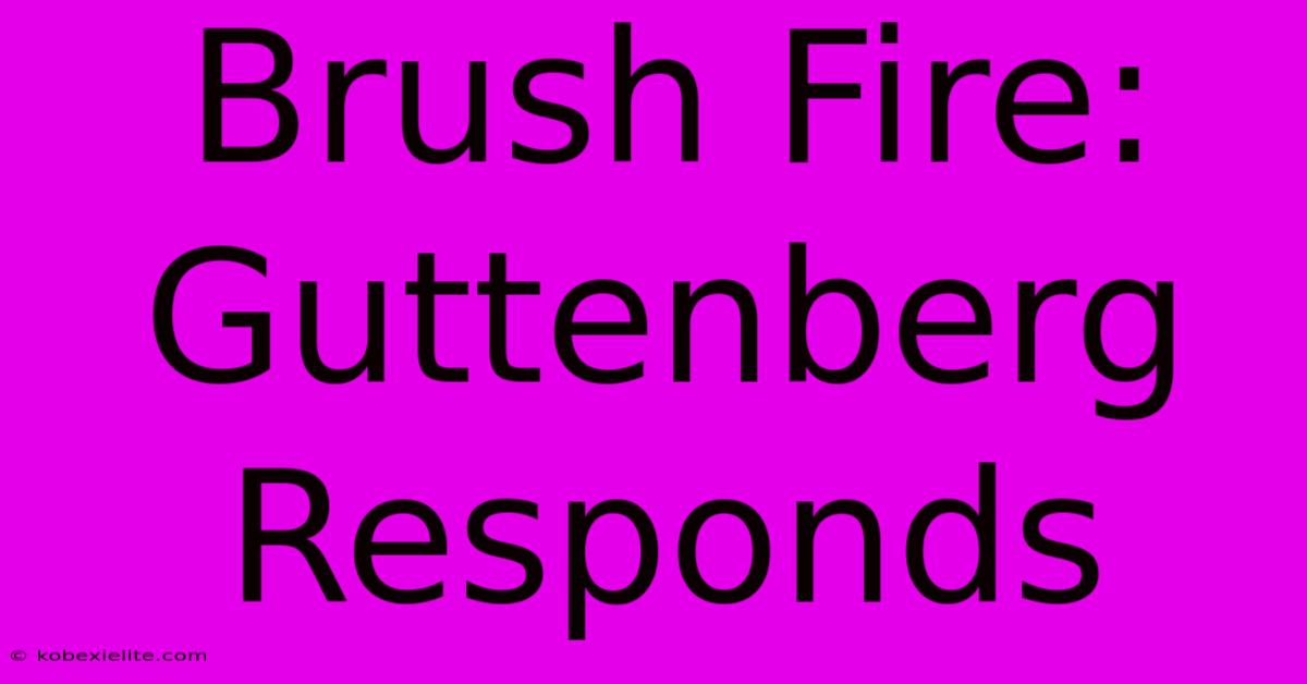 Brush Fire: Guttenberg Responds