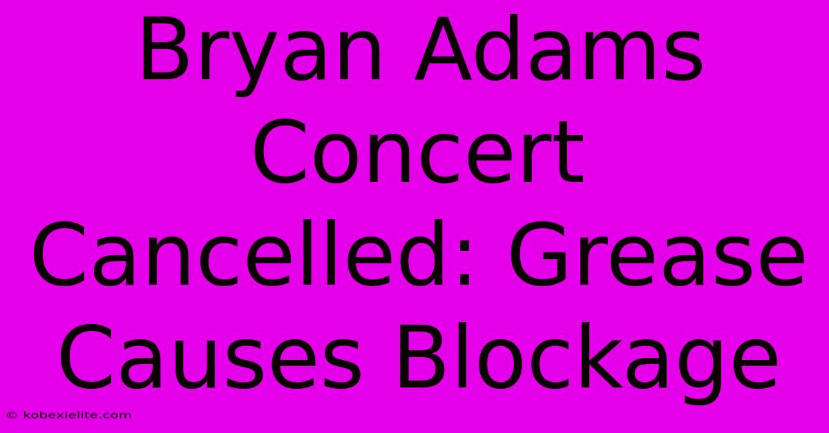 Bryan Adams Concert Cancelled: Grease Causes Blockage