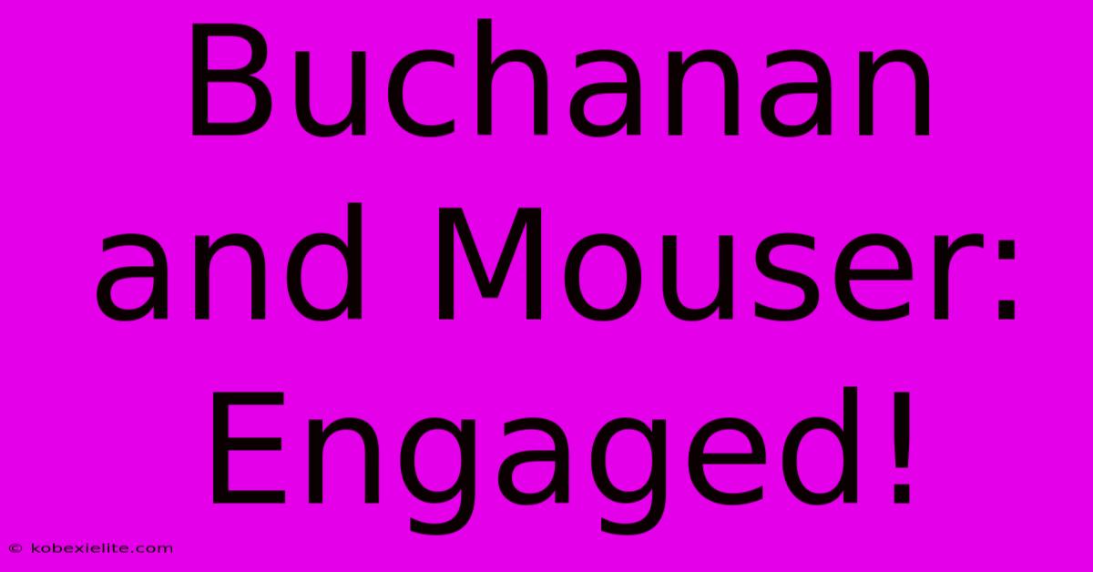 Buchanan And Mouser: Engaged!