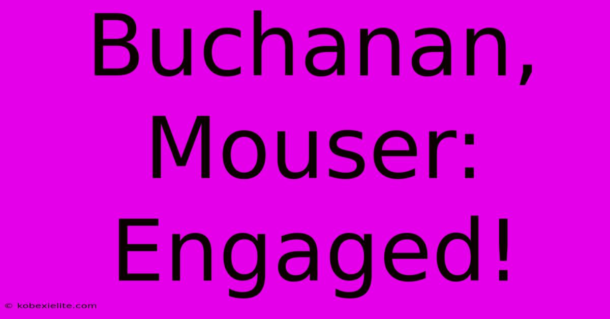 Buchanan, Mouser: Engaged!