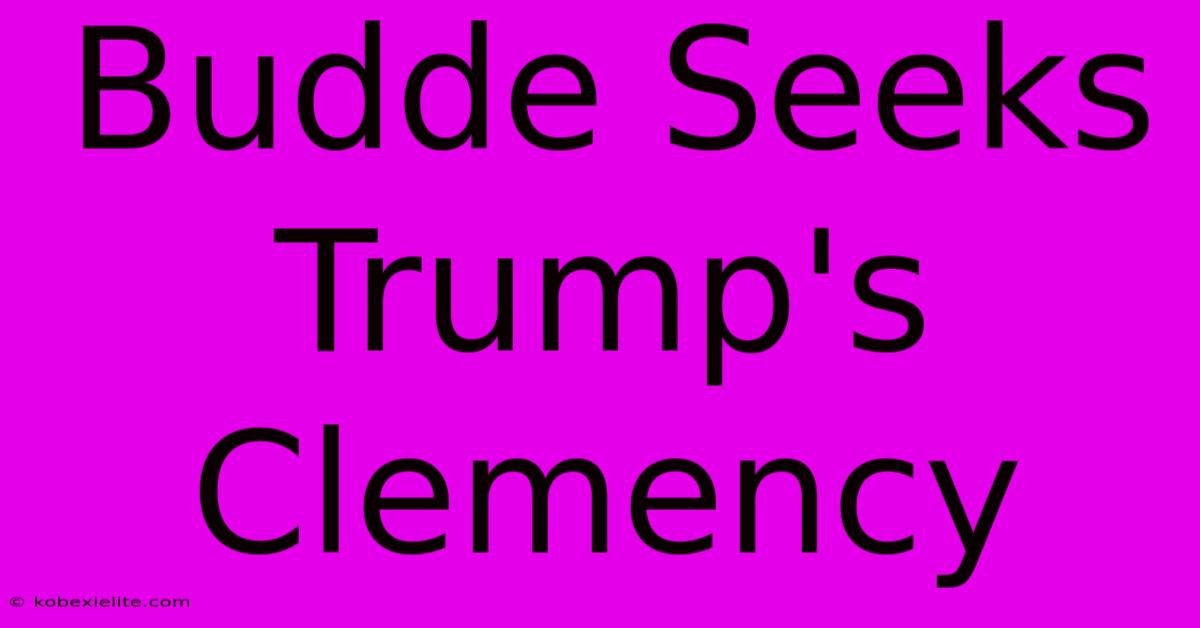 Budde Seeks Trump's Clemency