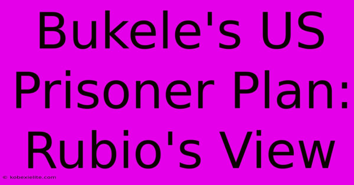 Bukele's US Prisoner Plan: Rubio's View