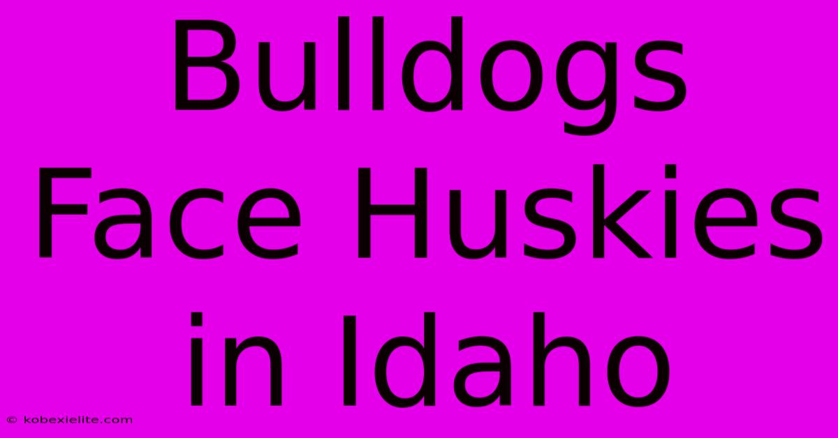 Bulldogs Face Huskies In Idaho