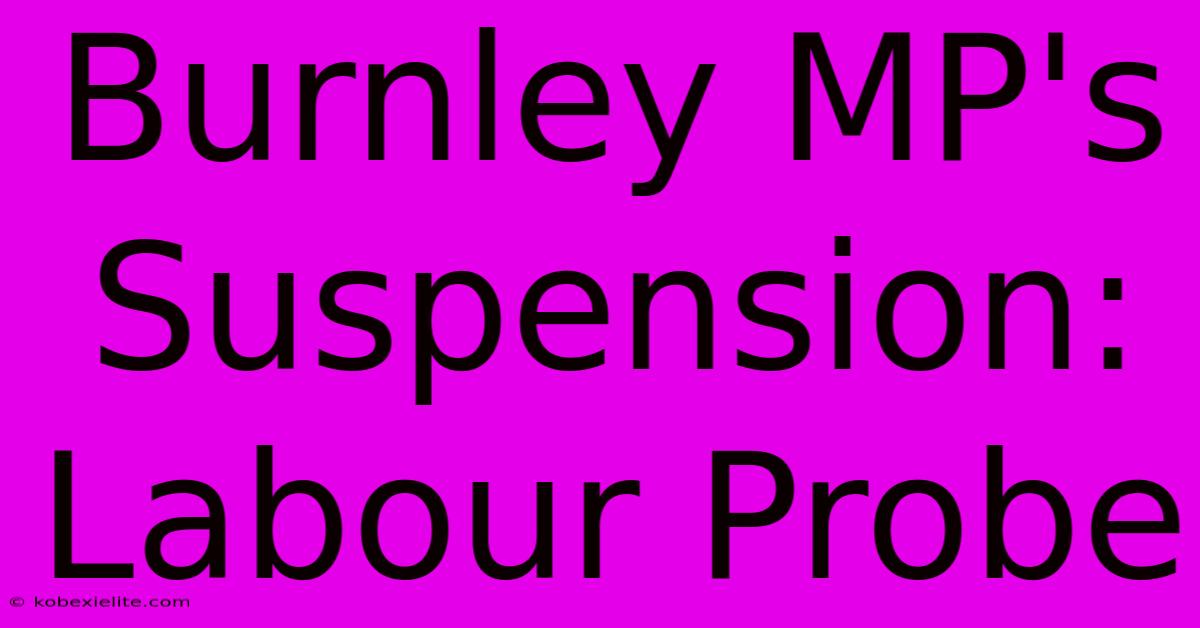 Burnley MP's Suspension: Labour Probe