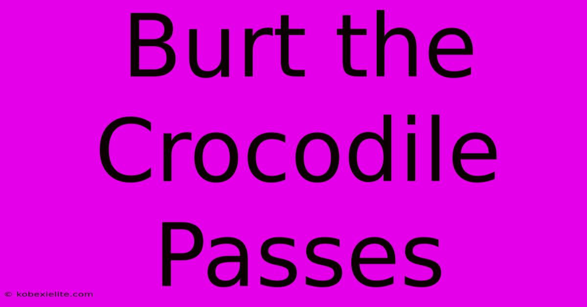 Burt The Crocodile Passes