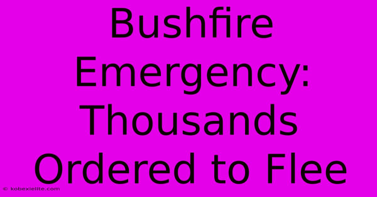 Bushfire Emergency: Thousands Ordered To Flee