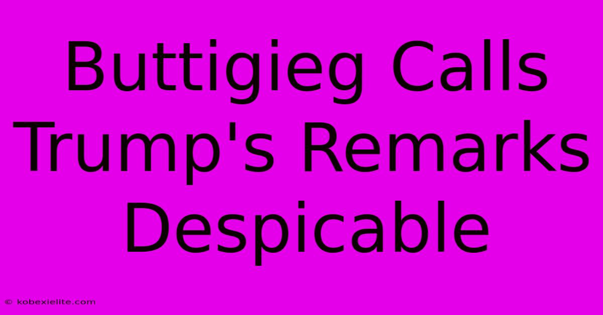 Buttigieg Calls Trump's Remarks Despicable