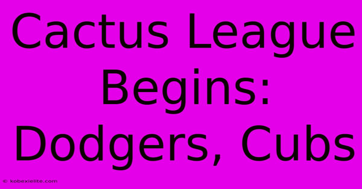 Cactus League Begins: Dodgers, Cubs