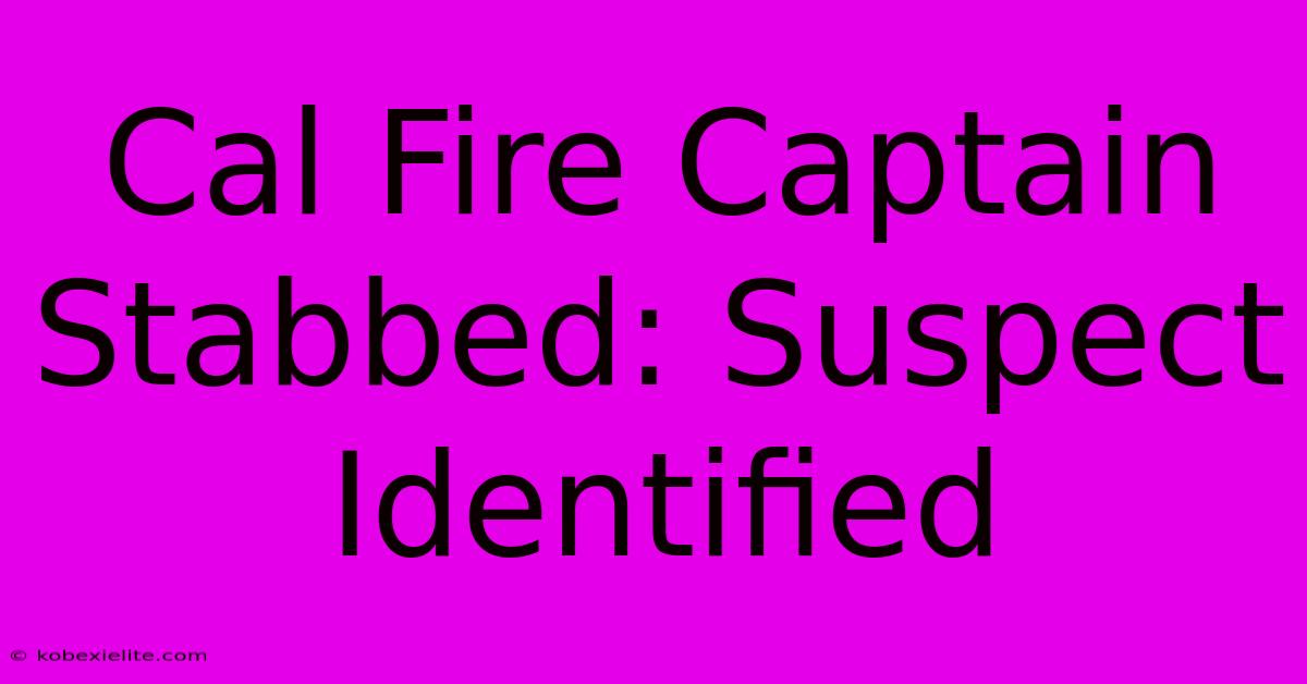 Cal Fire Captain Stabbed: Suspect Identified