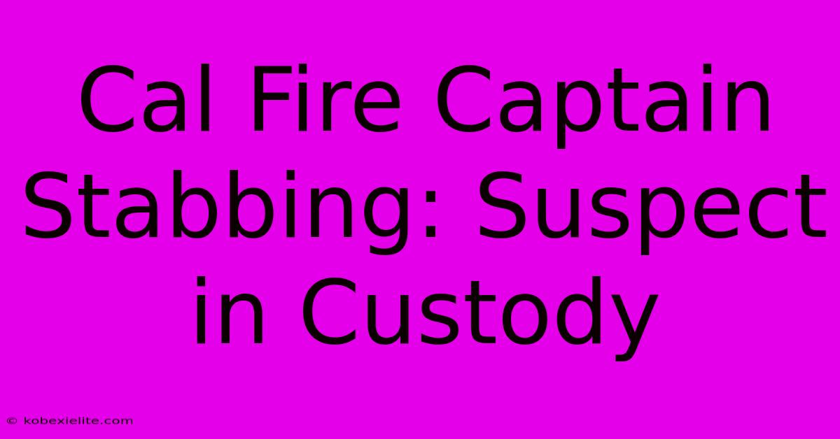 Cal Fire Captain Stabbing: Suspect In Custody